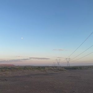 Meet your Posher, Cheyenne